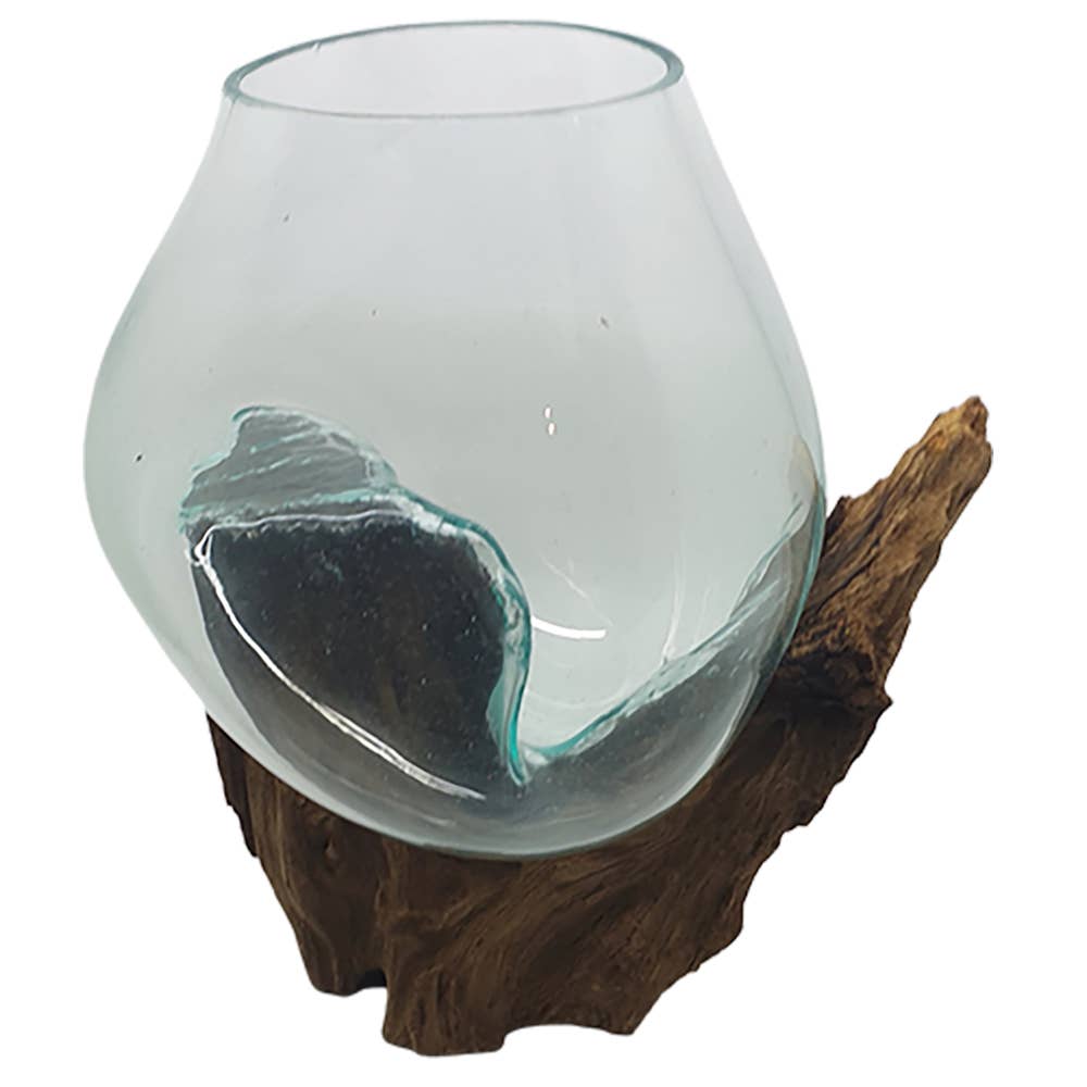 Molten Glass Terrarium on Balinese Gamal Wood, with Succulent