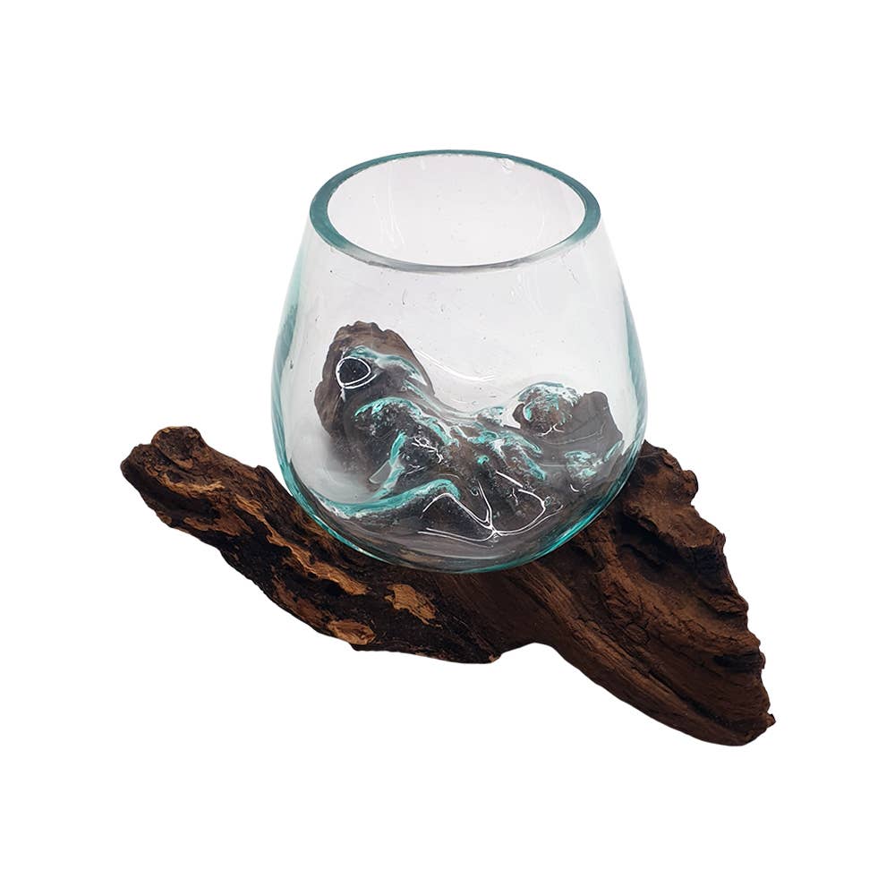 Molten Glass Terrarium on Balinese Gamal Wood, with Succulent