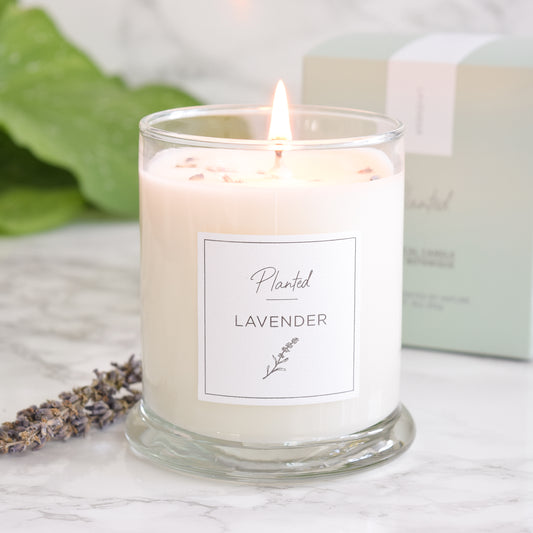 Planted Candle 6oz-Lavender