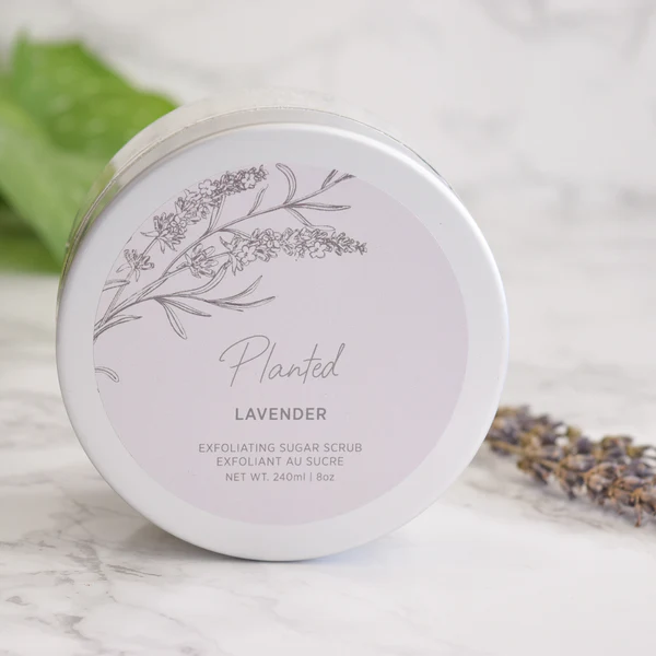 Planted Body Scrub 240ml-Lavender