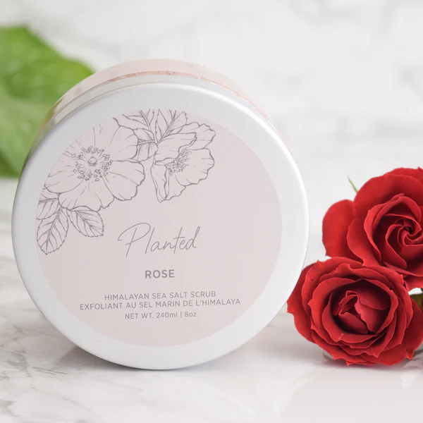 Planted Body Scrub 240ml-Rose